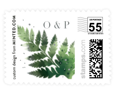 'Framed In Ferns (C)' 