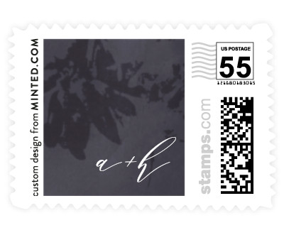 'Pressed Flowers (B)' 